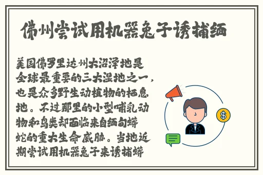 我sb就是用来c的